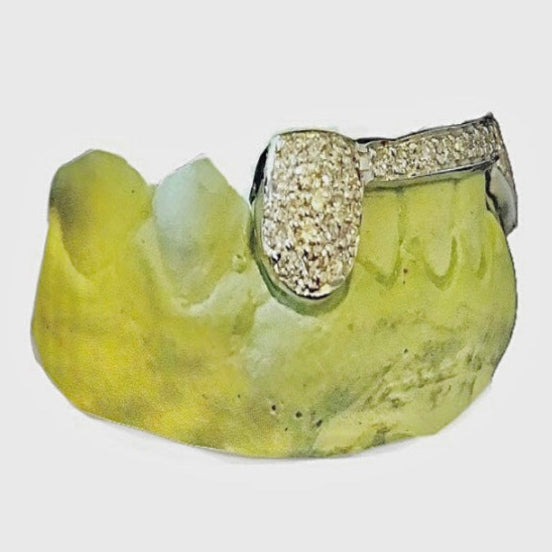 diamond grillz diamond bar and diamond fangs