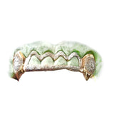 Open Face Diamond Dust Grillz with Polished Tip Extended Fangs